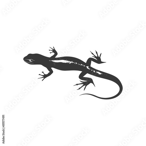 Silhouette salamander animal black color only