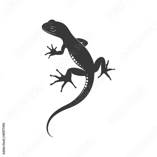 Silhouette salamander animal black color only