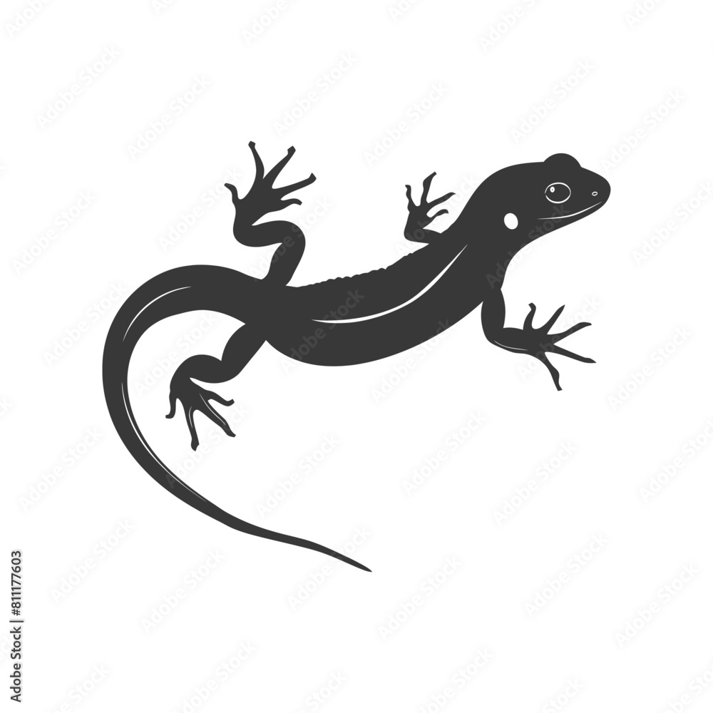 Silhouette salamander animal black color only Silhouette salamander animal black color only