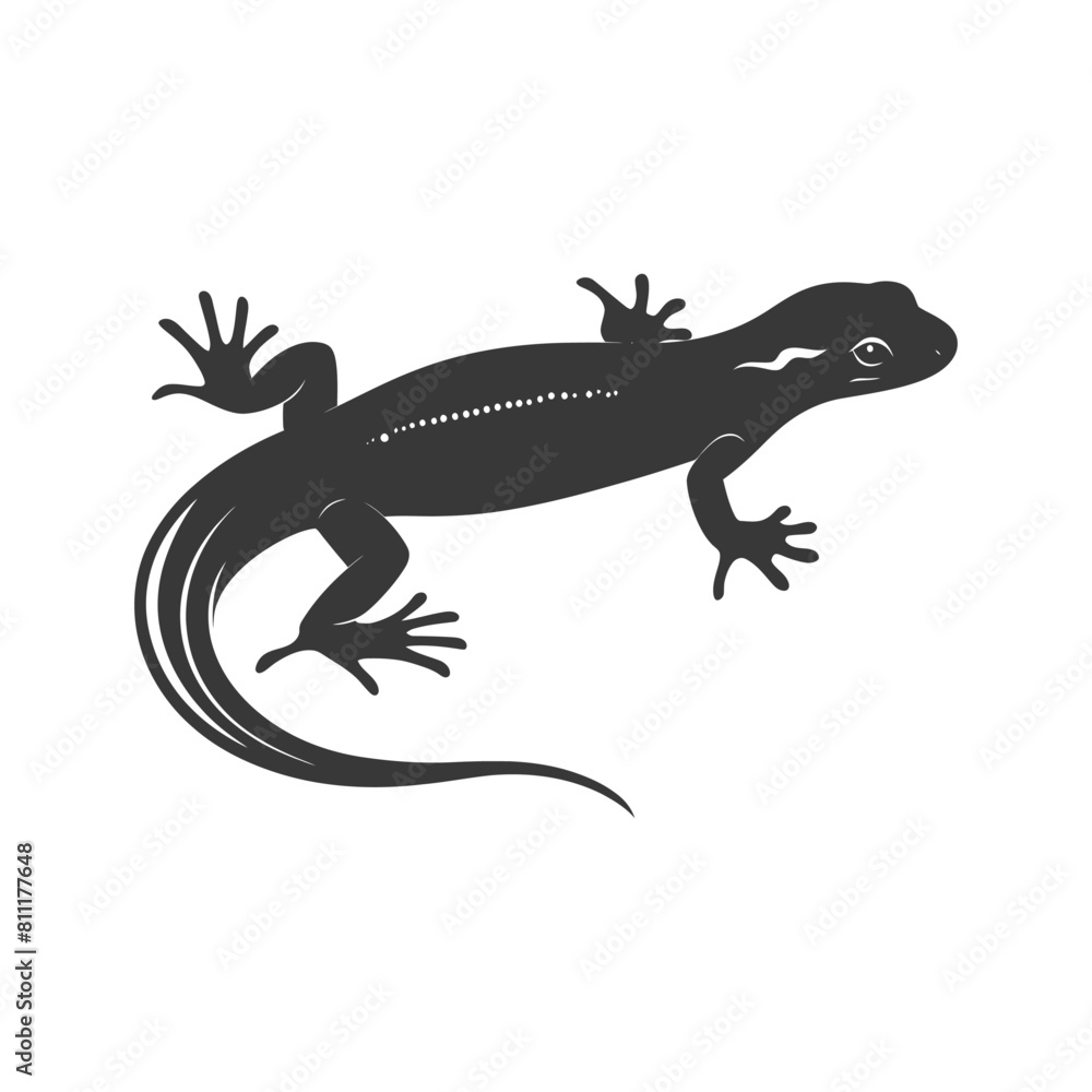 Fototapeta premium Silhouette salamander animal black color only
