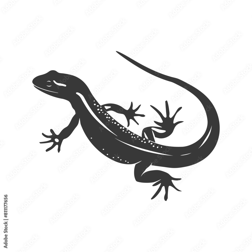 Fototapeta premium Silhouette salamander animal black color only