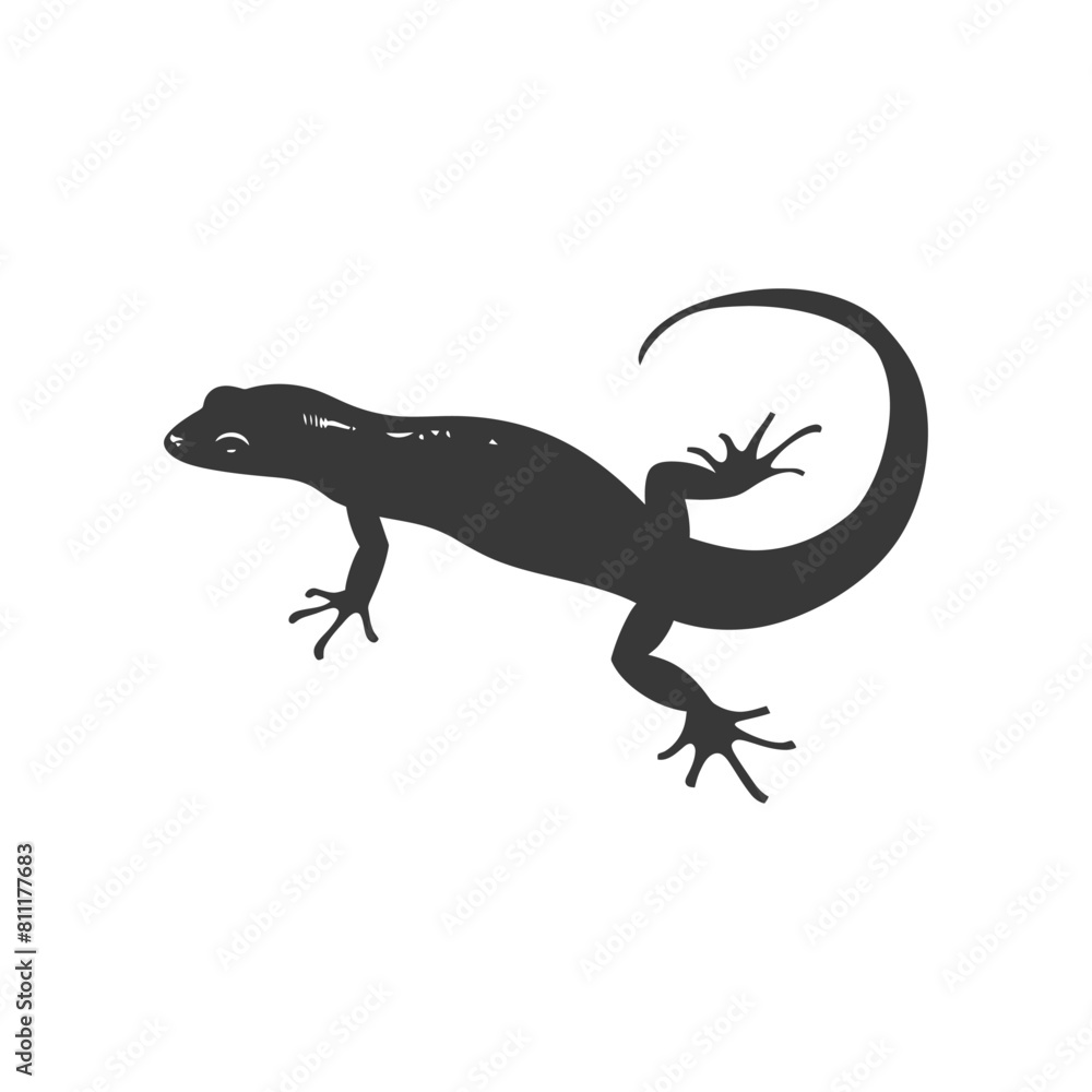 Naklejka premium Silhouette salamander animal black color only