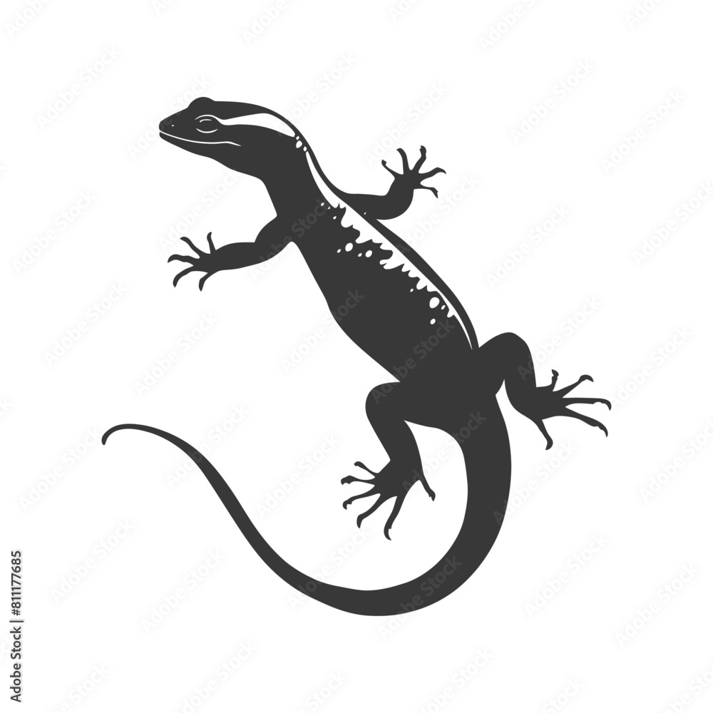 Fototapeta premium Silhouette salamander animal black color only