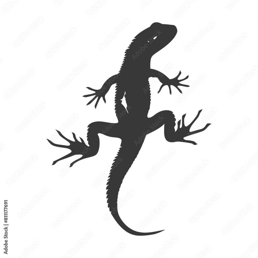 Naklejka premium Silhouette salamander animal black color only