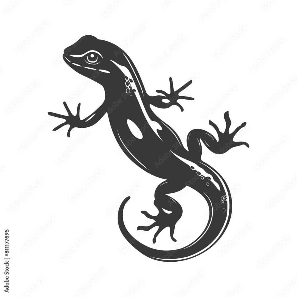Silhouette salamander animal black color only Silhouette salamander animal black color only