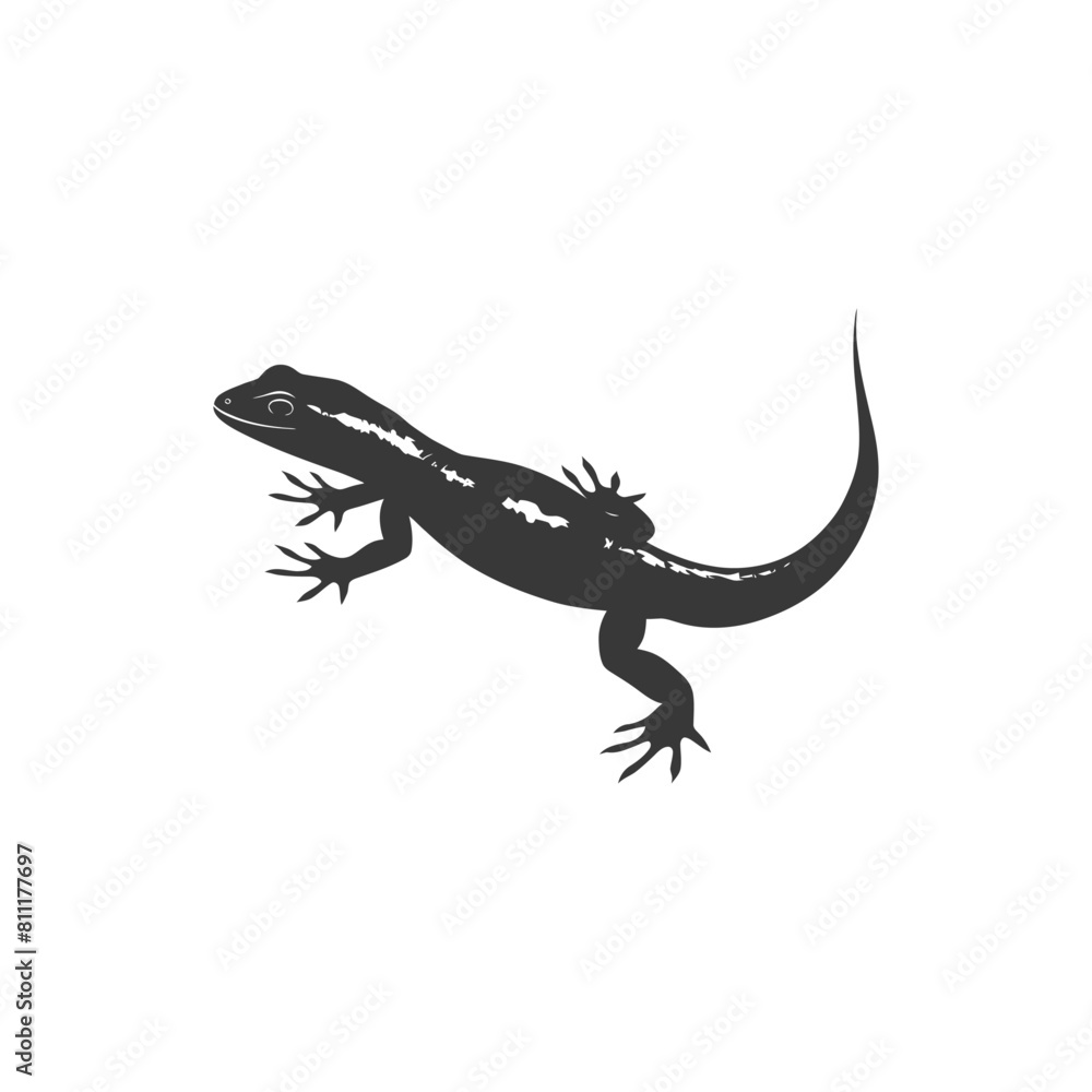 Naklejka premium Silhouette salamander animal black color only
