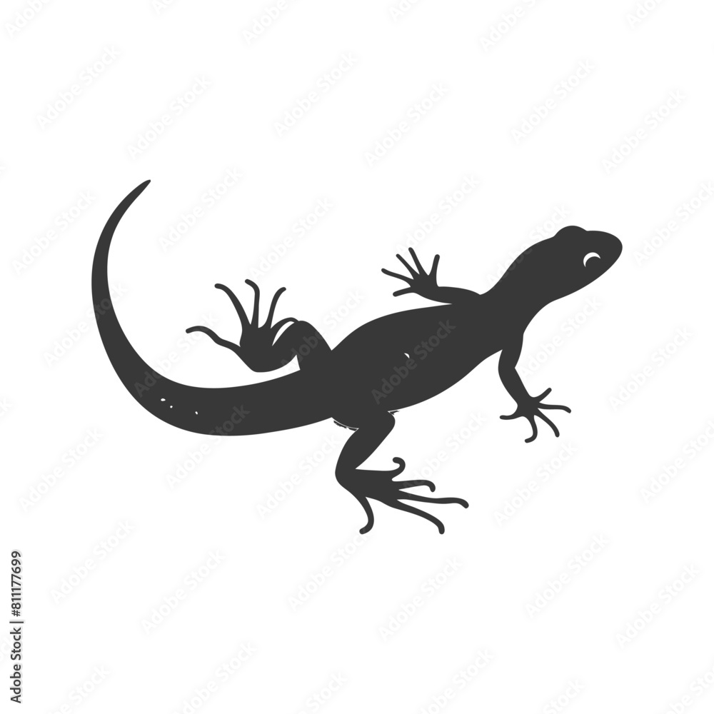 Naklejka premium Silhouette salamander animal black color only