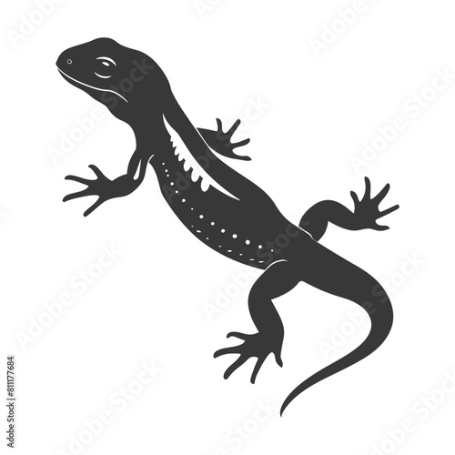 Silhouette salamander animal black color only