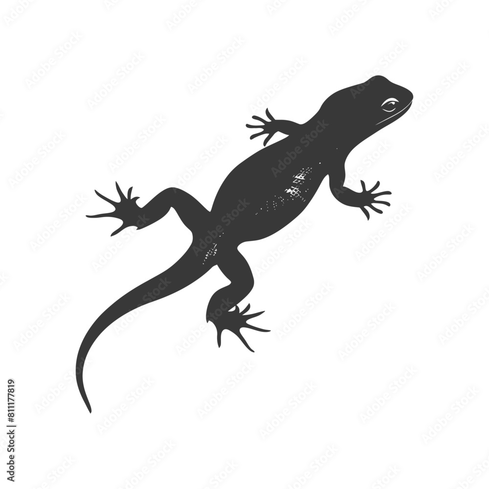 Naklejka premium Silhouette salamander animal black color only