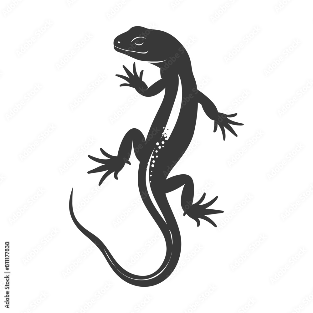 Fototapeta premium Silhouette salamander animal black color only