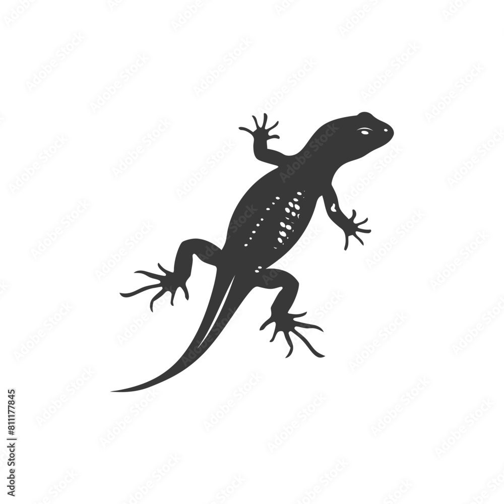 Fototapeta premium Silhouette salamander animal black color only
