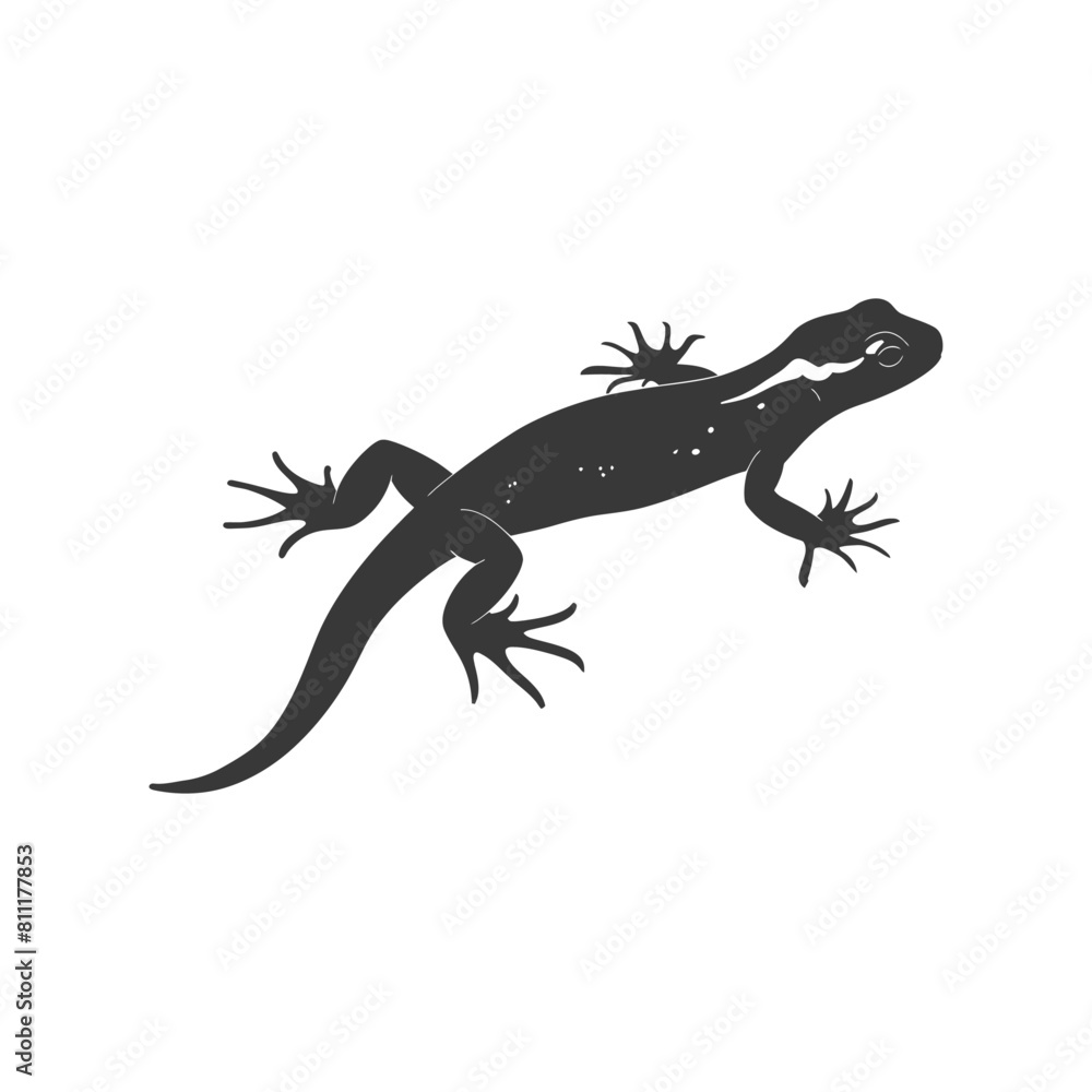 Silhouette salamander animal black color only