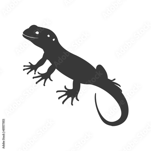 Silhouette salamander animal black color only