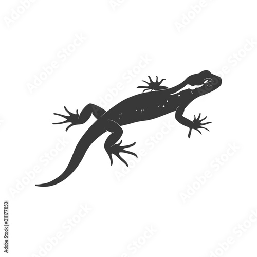 Silhouette salamander animal black color only