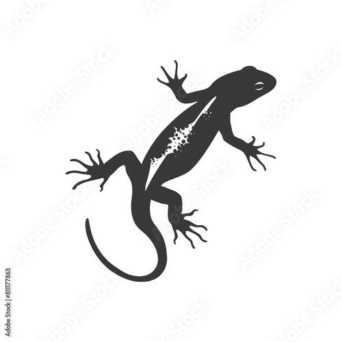 Silhouette salamander animal black color only