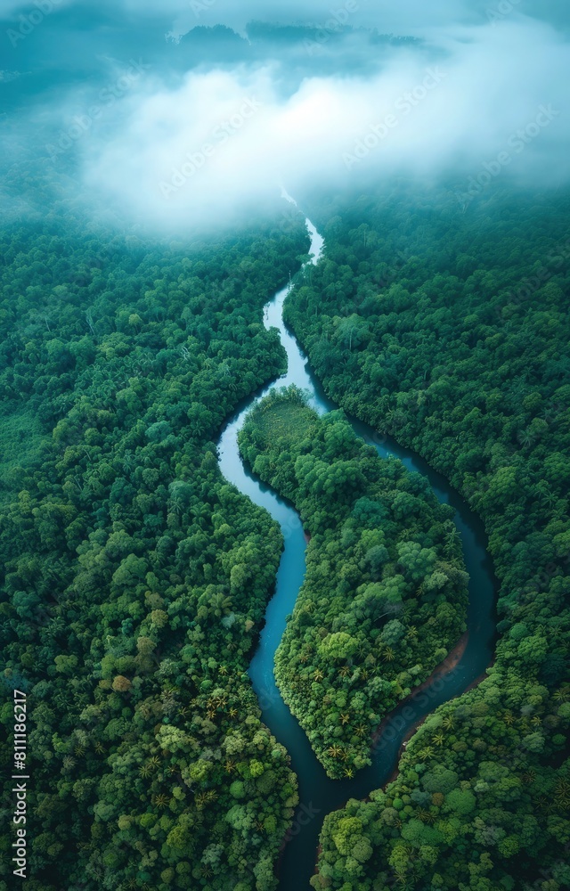 Aerial View of Meandering River Through Dense Jungle