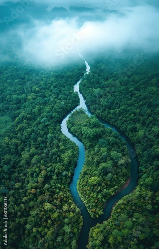 Aerial View of Meandering River Through Dense Jungle