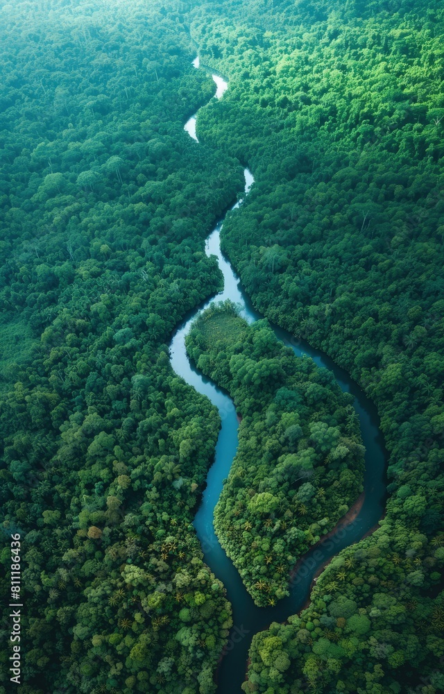 Aerial View of Meandering River Through Dense Jungle Aerial View of Meandering River Through Dense Jungle