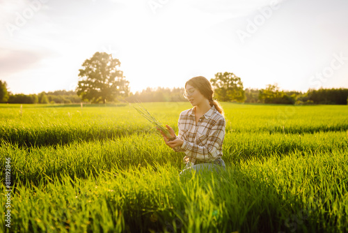 Farmer woman works in field, inspects harvest, young shoots of wheat in natural farming. Growing crops, green shoots.