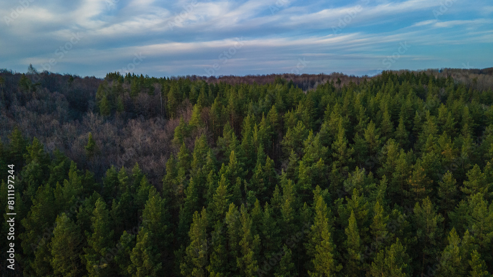 the forest in early spring aerial photography