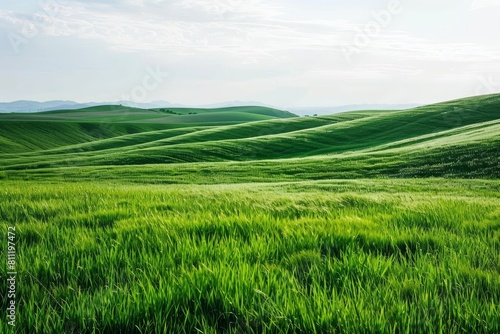 Lush green grass field extends, hills in background, A field of grass stretching as far as the eye can see, creating a peaceful landscape
