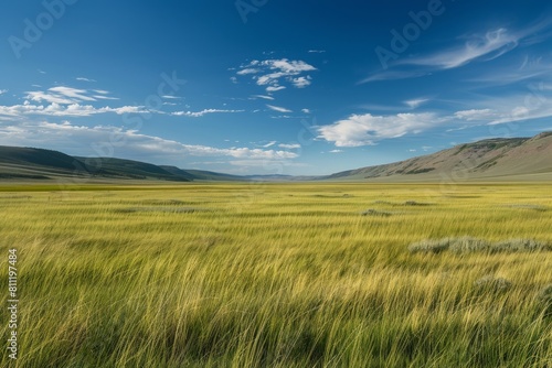 A wide open field with lush grass stretching towards distant mountains in the background, A field of grass stretching as far as the eye can see, creating a peaceful landscape