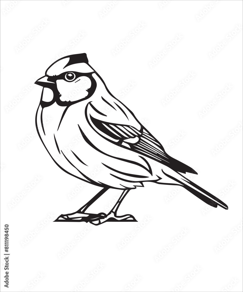Bushtit Bird Victor Design Bushtit Bird Victor Design