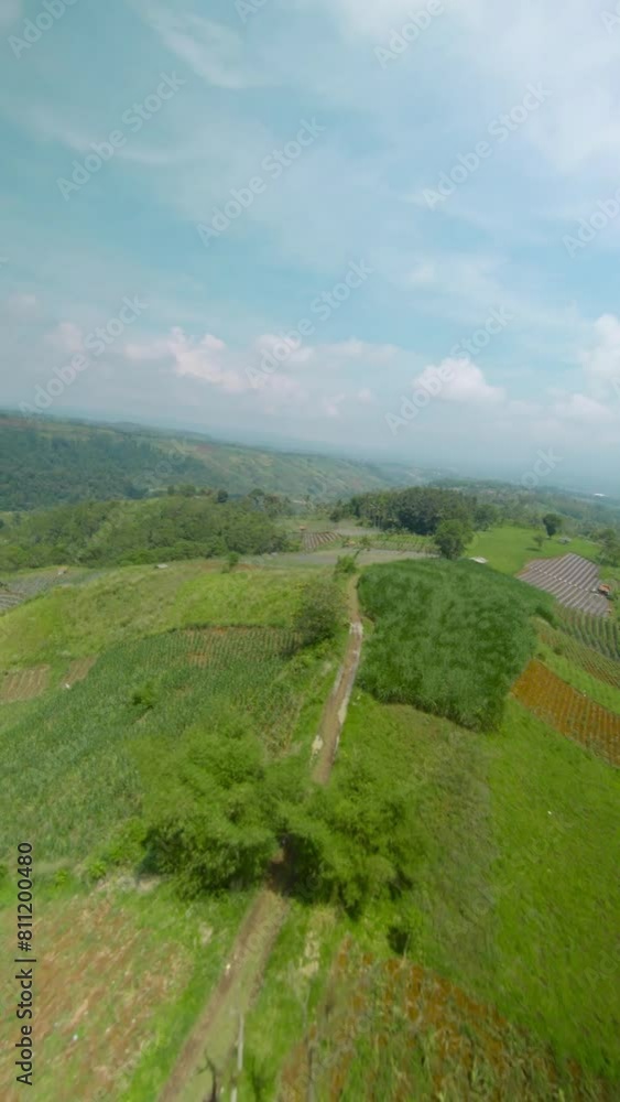 drone video of hills with few trees, the drone moves forward and dives down and the camera faces straight ahead
drone video of hills with few trees, the drone moves forward and dives down and the camera faces straight ahead