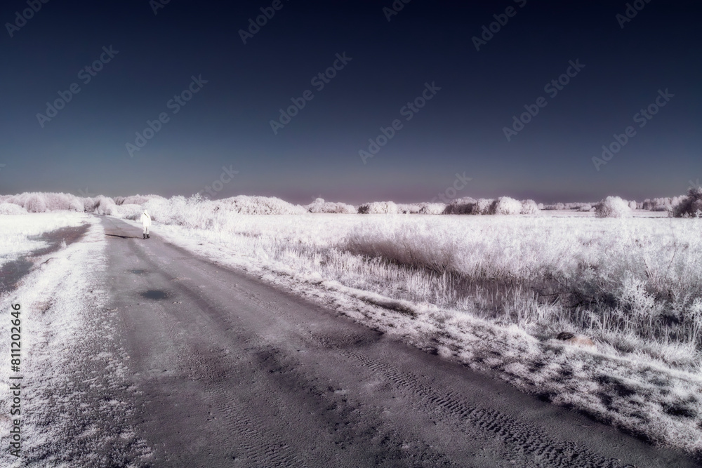 Enchanted landscape in infrared. Podlasie, Poland. Enchanted landscape in infrared. Podlasie, Poland.