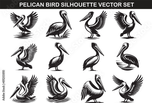 Pelican Bird Silhouette Vector Illustration set