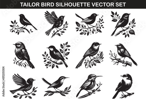 Tailor Bird Silhouette Vector Illustration set