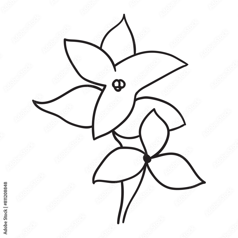 Wildflowers, Floral, Wildflower, flower sketch, Wildflowers, Bouquet, minimalist bouquet, botanical, field plants, floral leaves, branches Wildflowers, Floral, Wildflower, flower sketch, Wildflowers, Bouquet, minimalist bouquet, botanical, field plants, floral leaves, branches