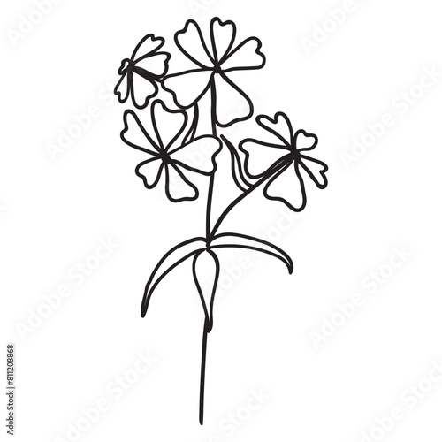 Wildflowers  Floral  Wildflower  flower sketch  Wildflowers  Bouquet  minimalist bouquet  botanical  field plants  floral leaves  branches