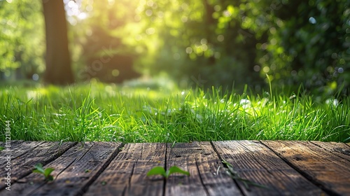 Sunny day in a forest with a wooden bridge crossing a stream