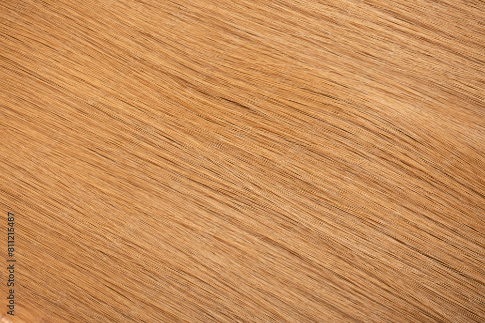 Obraz premium Red hair close-up as a background. Women's long orange hair. Beautifully styled wavy shiny curls. Hair coloring bright shades. Hairdressing procedures, extension.