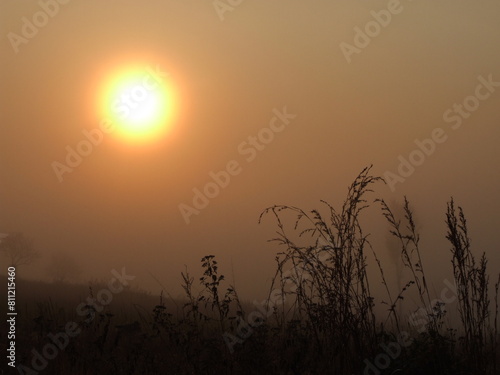 A serene landscape of a foggy field with the sun breaking through the clouds. The golden rays of sunlight illuminate the blades of grass, creating a warm and inviting The fog adds an air o
