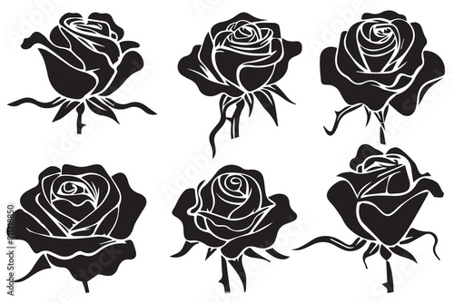 black slhoutte Set of rose with leaves Flower black silhoutte white background