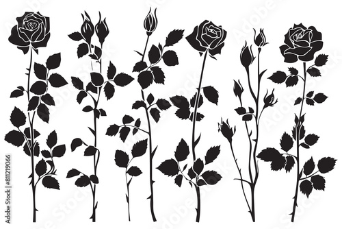 black slhoutte Set of rose with leaves Flower black silhoutte white background