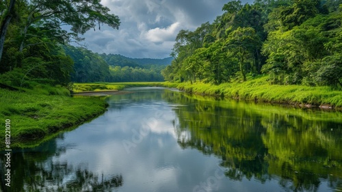 A serene river winding through lush greenery, reflecting the tranquil beauty of nature in its calm waters.