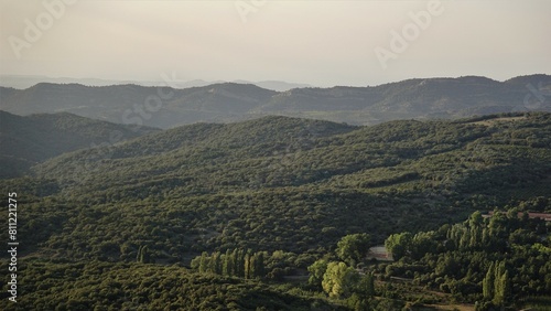 landscape of pine forest on the mountains