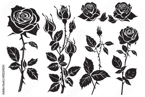 black slhoutte Set of rose with leaves Flower black silhoutte white background