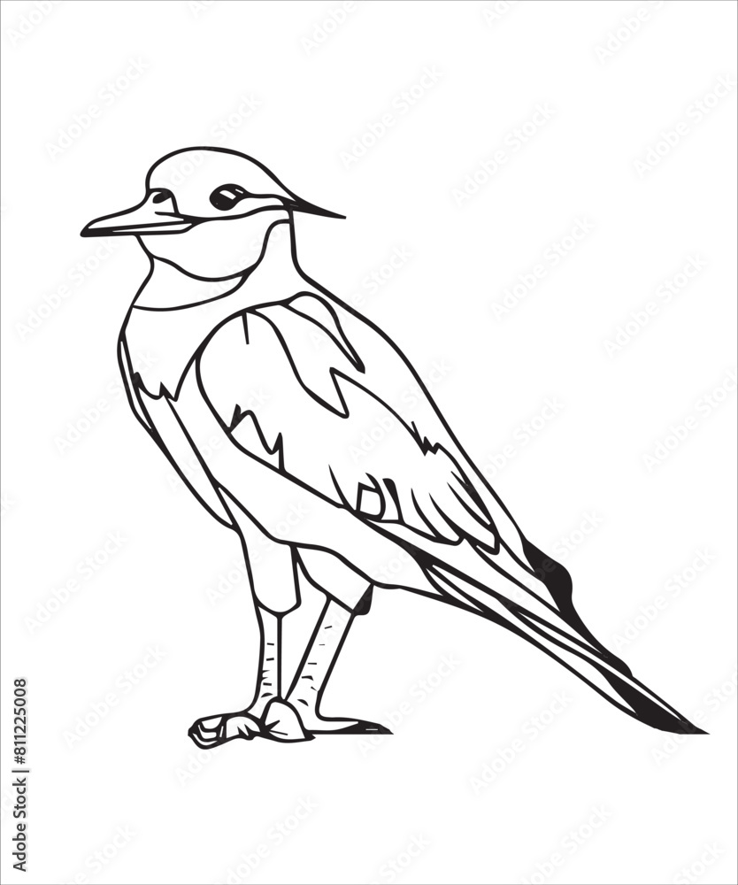 Obraz premium Kite Bird Victor Design