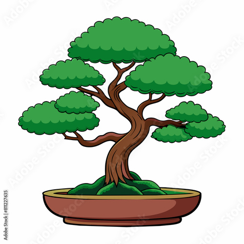 bonsai tree cartoon illustration