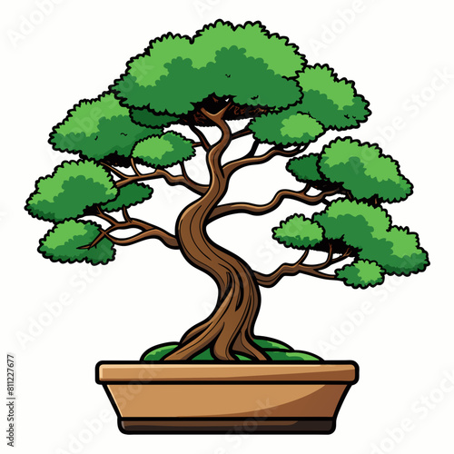 bonsai tree cartoon illustration