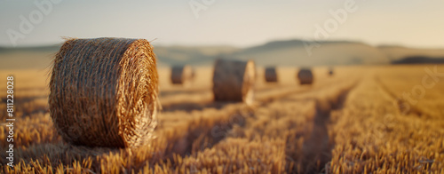 Straw bale, field of wheat photo