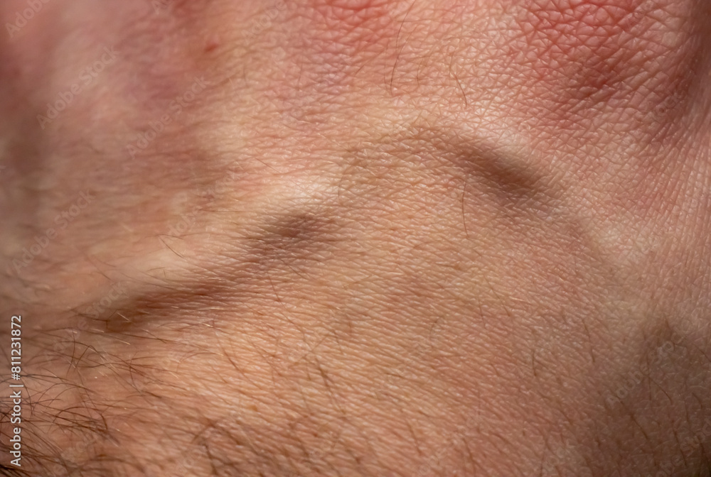 Fototapeta premium Close-up human hand with vein. Details of skin. Male hand texture