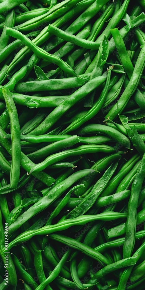 Up High Trimmed Green Beans - Fresh and Greener Vegetable Bunch for Vegan and Vegetarian Food