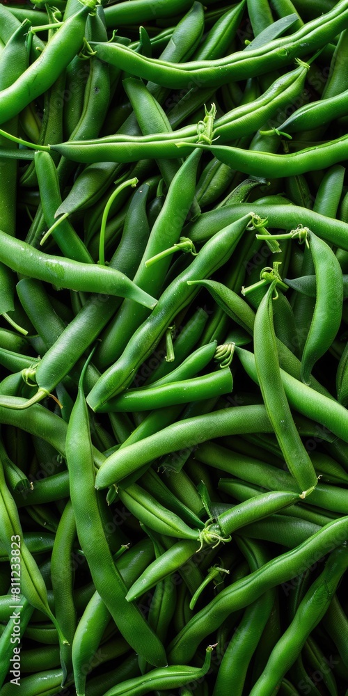 Up High Bunch of Trimmed Green Beans. Healthy and Nutritious Greener Vegetable Food for Vegetarian Up High Bunch of Trimmed Green Beans. Healthy and Nutritious Greener Vegetable Food for Vegetarian