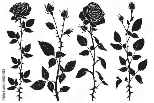 Beautiful rose flowers silhouette set isolated on white background