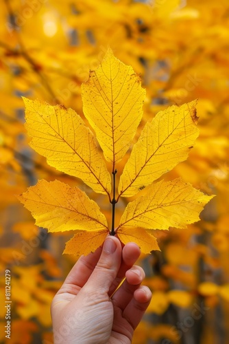 A person holding a leaf in their hand with yellow leaves behind them  AI